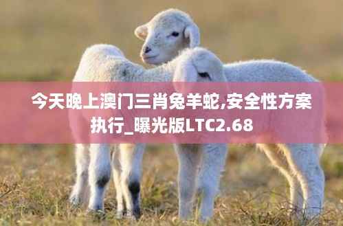 今天晚上澳门三肖兔羊蛇,安全性方案执行_曝光版LTC2.68