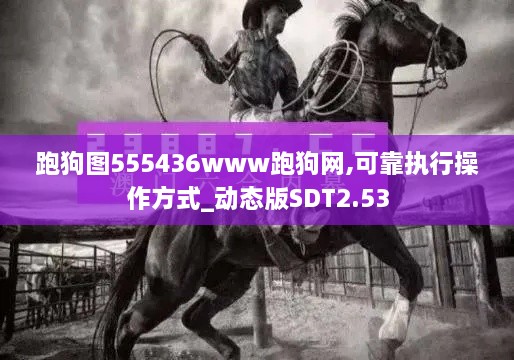 跑狗图555436www跑狗网,可靠执行操作方式_动态版SDT2.53