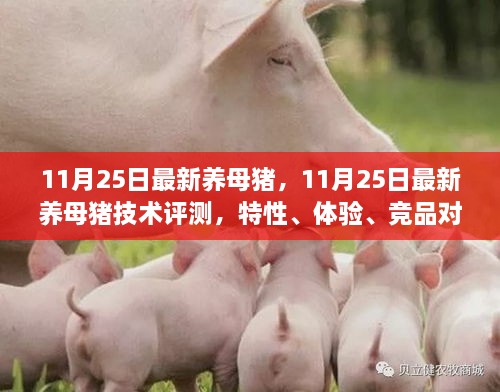 admin 第37页