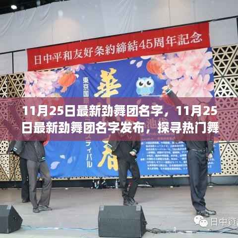 探寻热门舞蹈团体的秘密与魅力,最新劲舞团名字发布,尽在11月25日