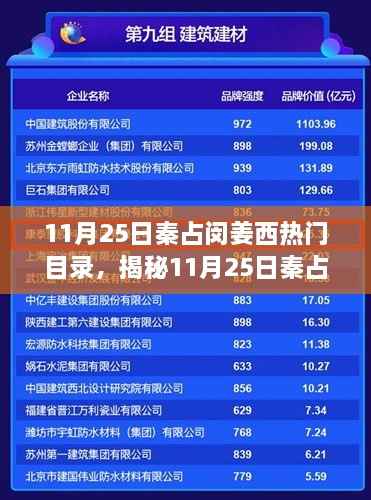 揭秘网络热议源头,秦占闵姜西热门目录揭秘日(11月25日)