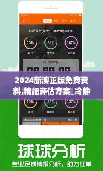 2024新澳正版免费资料,精细评估方案_冷静版NEX9.4