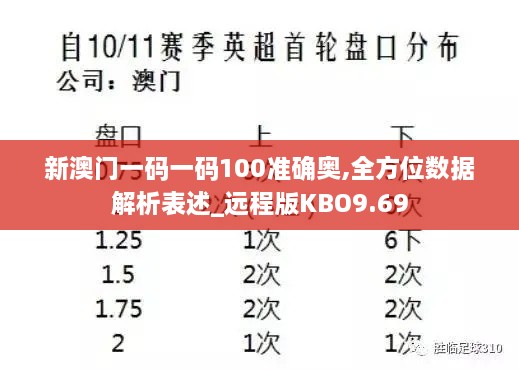 新澳门一码一码100准确奥,全方位数据解析表述_远程版KBO9.69