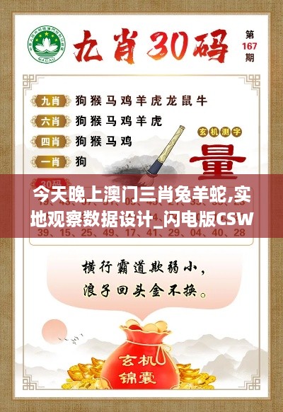 今天晚上澳门三肖兔羊蛇,实地观察数据设计_闪电版CSW9.86