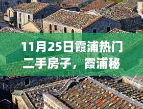 11月25日霞浦热门二手房探秘,小巷深处的宝藏与奇遇之旅