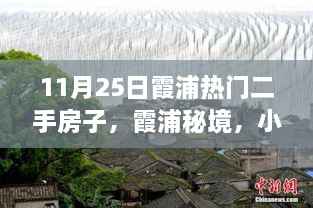 11月25日霞浦热门二手房探秘,小巷深处的宝藏与奇遇之旅