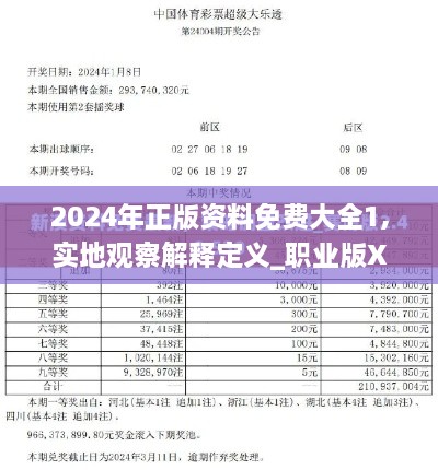 2024年正版资料免费大全1,实地观察解释定义_职业版XWA9.37