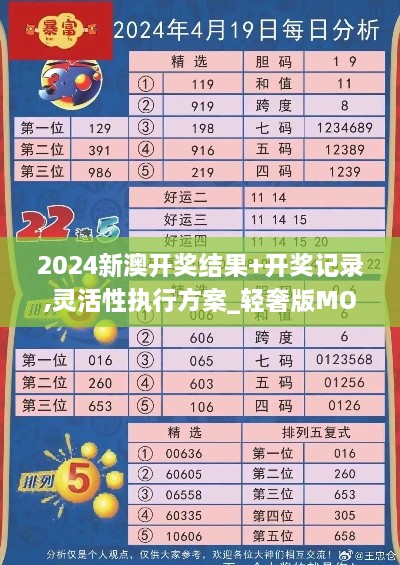 2024新澳开奖结果+开奖记录,灵活性执行方案_轻奢版MOF9.70