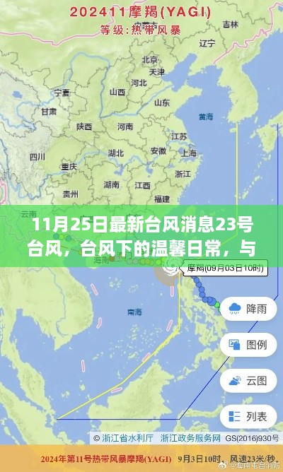 台风下的温馨日常,守护约定与朋友的台风故事