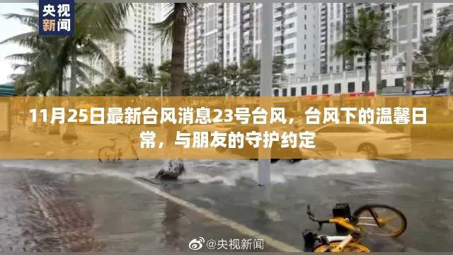 台风下的温馨日常,守护约定与朋友的台风故事