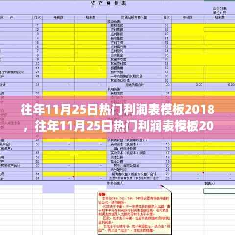 往年11月25日热门利润表模板深度评测与介绍,2018版概览