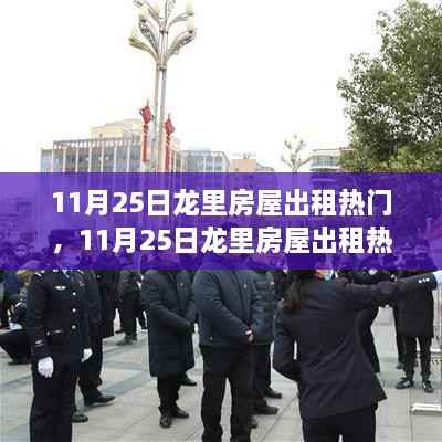 11月25日龙里房屋出租市场热门解析,多元解读与个人立场