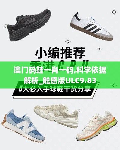 澳门码鞋一肖一码,科学依据解析_触感版ULC9.83