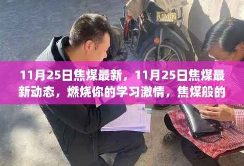 11月25日焦煤最新动态,燃烧学习激情,挖掘焦煤自信与成就感