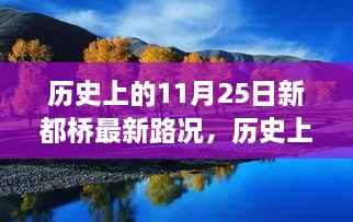 历史上的11月25日新都桥最新路况及其观点论述解析