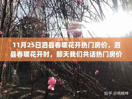 泗县春暖花开时的热门房价日常小确幸讨论