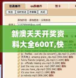 新澳天天开奖资料大全600T,快速处理计划_获取版GCG9.76