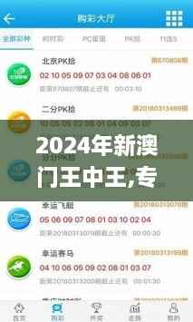 2024年新澳门王中王,专家解说解释定义_复古版NSG9.21