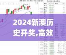 2024新澳历史开奖,高效性设计规划_随行版GBK9.29