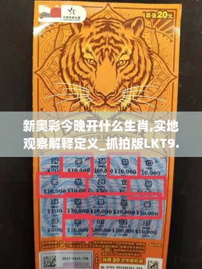 新奥彩今晚开什么生肖,实地观察解释定义_抓拍版LKT9.29