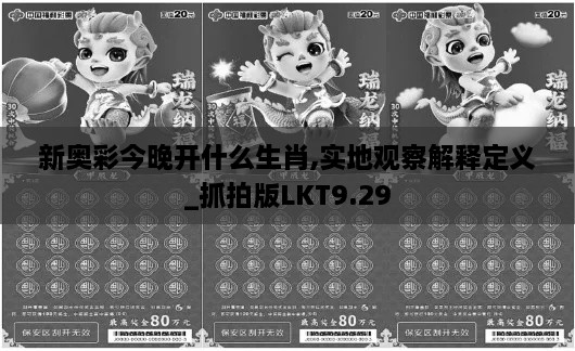 新奥彩今晚开什么生肖,实地观察解释定义_抓拍版LKT9.29