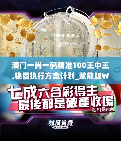 澳门一肖一码精准100王中王,稳固执行方案计划_赋能版WCS9.13