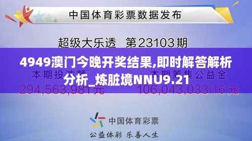 4949澳门今晚开奖结果,即时解答解析分析_炼脏境NNU9.21