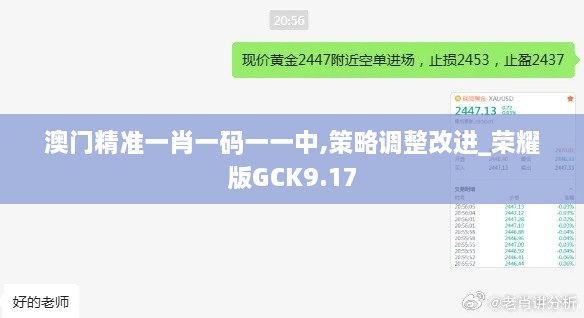 澳门精准一肖一码一一中,策略调整改进_荣耀版GCK9.17