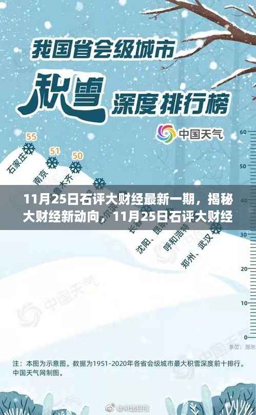 揭秘大财经新动向,深度解读石评大财经最新一期(11月25日)