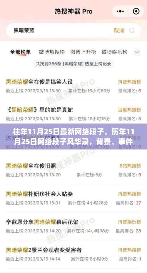 历年11月25日网络段子风华录,背景、事件、影响与时代印记