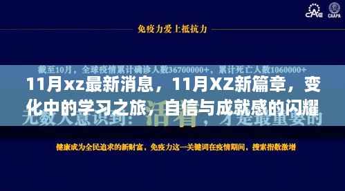 11月XZ新篇章,变化中的学习之旅,自信成就闪耀光芒的最新消息