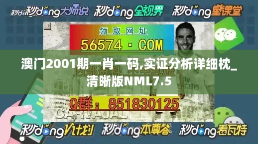 zhaoqianxiti 第19页