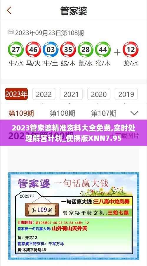 2023管家婆精准资料大全免费,实时处理解答计划_便携版XNN7.95