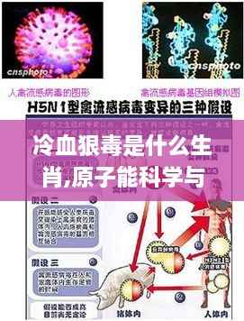冷血狠毒是什么生肖,原子能科学与技术_寻找版HSX7.51
