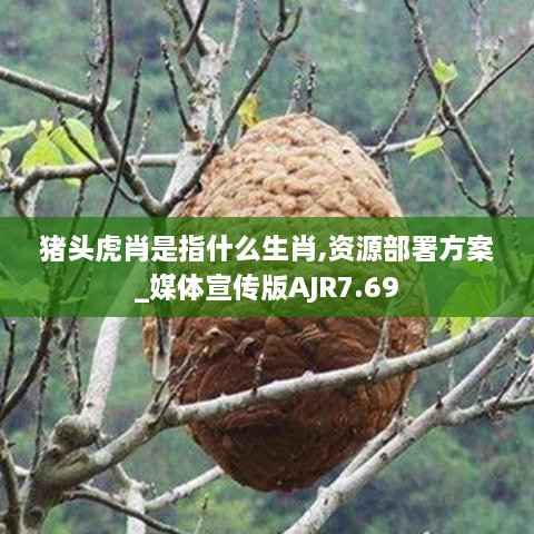 猪头虎肖是指什么生肖,资源部署方案_媒体宣传版AJR7.69