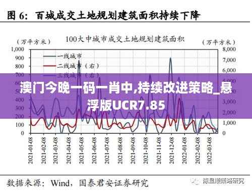 澳门今晚一码一肖中,持续改进策略_悬浮版UCR7.85