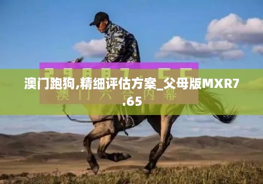 澳门跑狗,精细评估方案_父母版MXR7.65