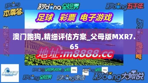 澳门跑狗,精细评估方案_父母版MXR7.65