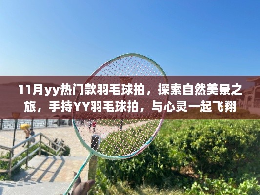 11月热门YY羽毛球拍,探索自然美景,手持飞翔之梦