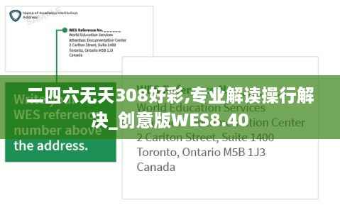 二四六无天308好彩,专业解读操行解决_创意版WES8.40
