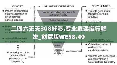 二四六无天308好彩,专业解读操行解决_创意版WES8.40