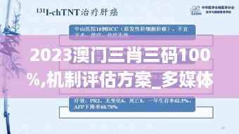 2023澳门三肖三码100%,机制评估方案_多媒体版NCL4.48