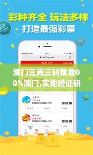 澳门三肖三码精准00%澳门,实地验证研究方案_云端版KKC8.98