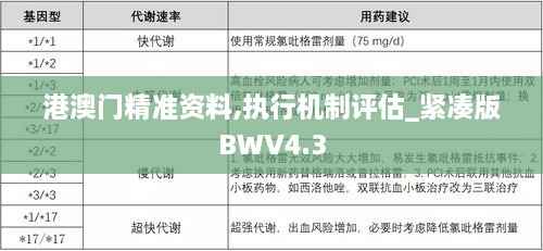港澳门精准资料,执行机制评估_紧凑版BWV4.3