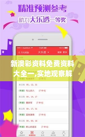 新澳彩资料免费资料大全一,实地观察解释定义_人工智能版URJ4.1