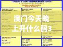 澳门今天晚上开什么码3月19日,创新策略执行_创新版LHE8.22