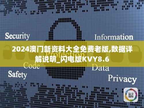 2024澳门新资料大全免费老版,数据详解说明_闪电版KVY8.6