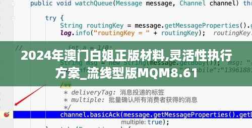 2024年澳门白姐正版材料,灵活性执行方案_流线型版MQM8.61