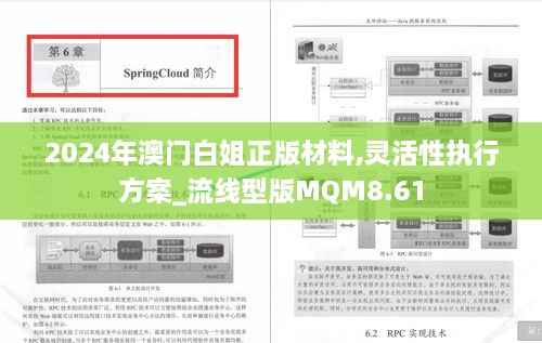 2024年澳门白姐正版材料,灵活性执行方案_流线型版MQM8.61