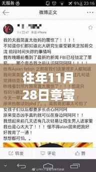 章莹颖最新消息回顾与展望,历年11月28日更新(最新进展)